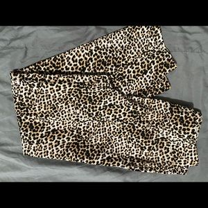 Capri leopard print pants